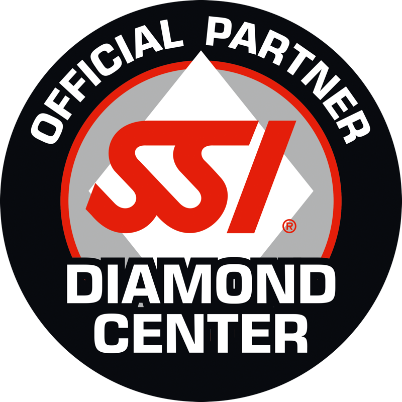 SSI Official Partner Diamond Center rozeti